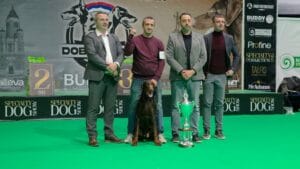 4658badf 72e3 4cf5 ad75 a6d399834157 odgajivacnica dobermana