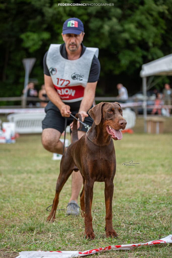 Facebook 685 odgajivacnica dobermana