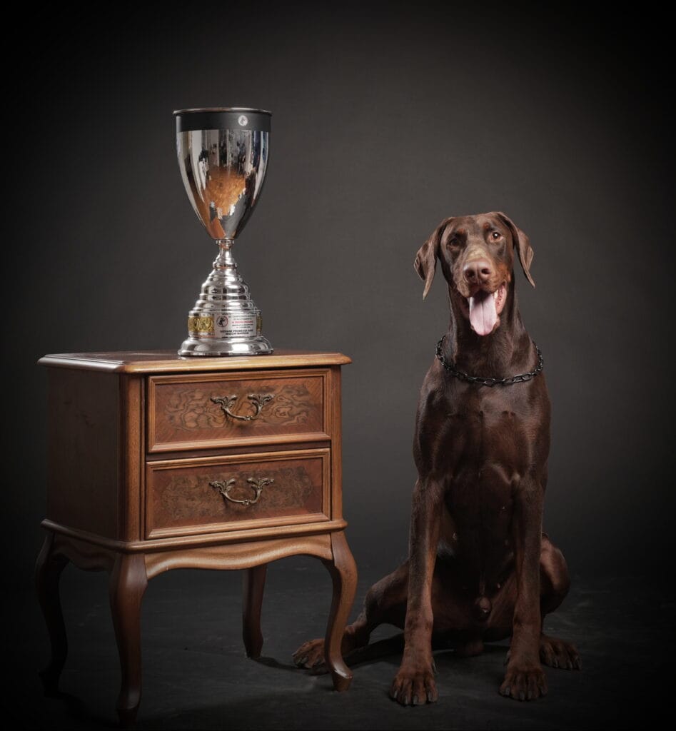 a dog sitting next to a trophy