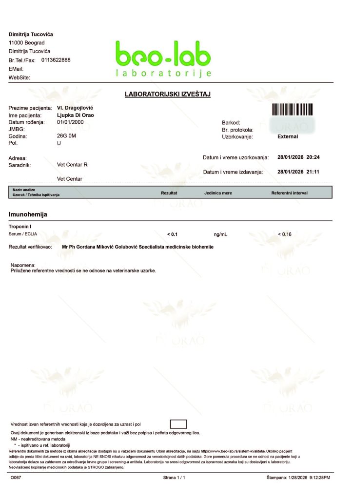 Ljupka di Orao 3 - Orao Doberman Ljupka di Orao