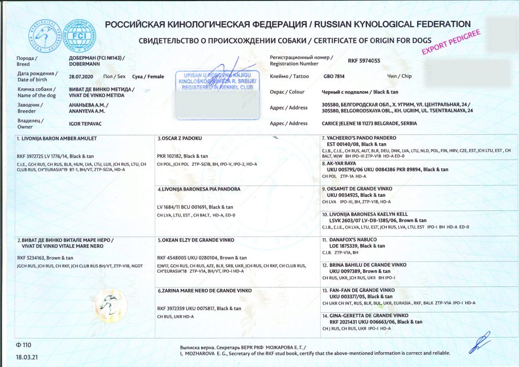 Vivat de Vinco Metida 3 - Orao Doberman – Doberman Kennel Orao_lab_tests_KSS-11