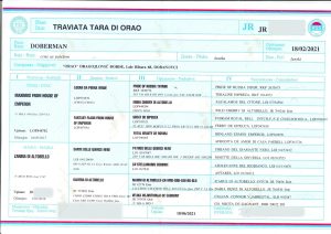 La Traviata Tara di Orao 5 - Orao Doberman – Élevage de Dobermann Orao_lab_tests_KSS-13
