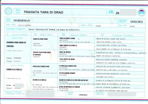 La Traviata Tara di Orao 5 - Orao Doberman – Criadero de Dóberman Orao_lab_tests_KSS-13